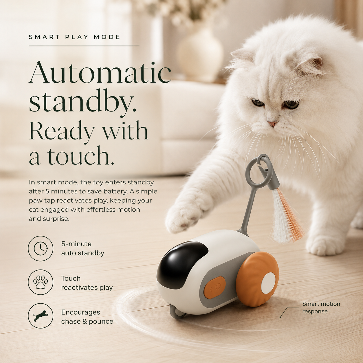 Remote Control Interactive Cat Toy