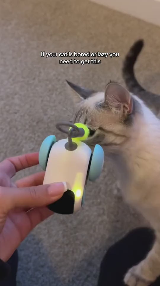 Remote Control Interactive Cat Toy